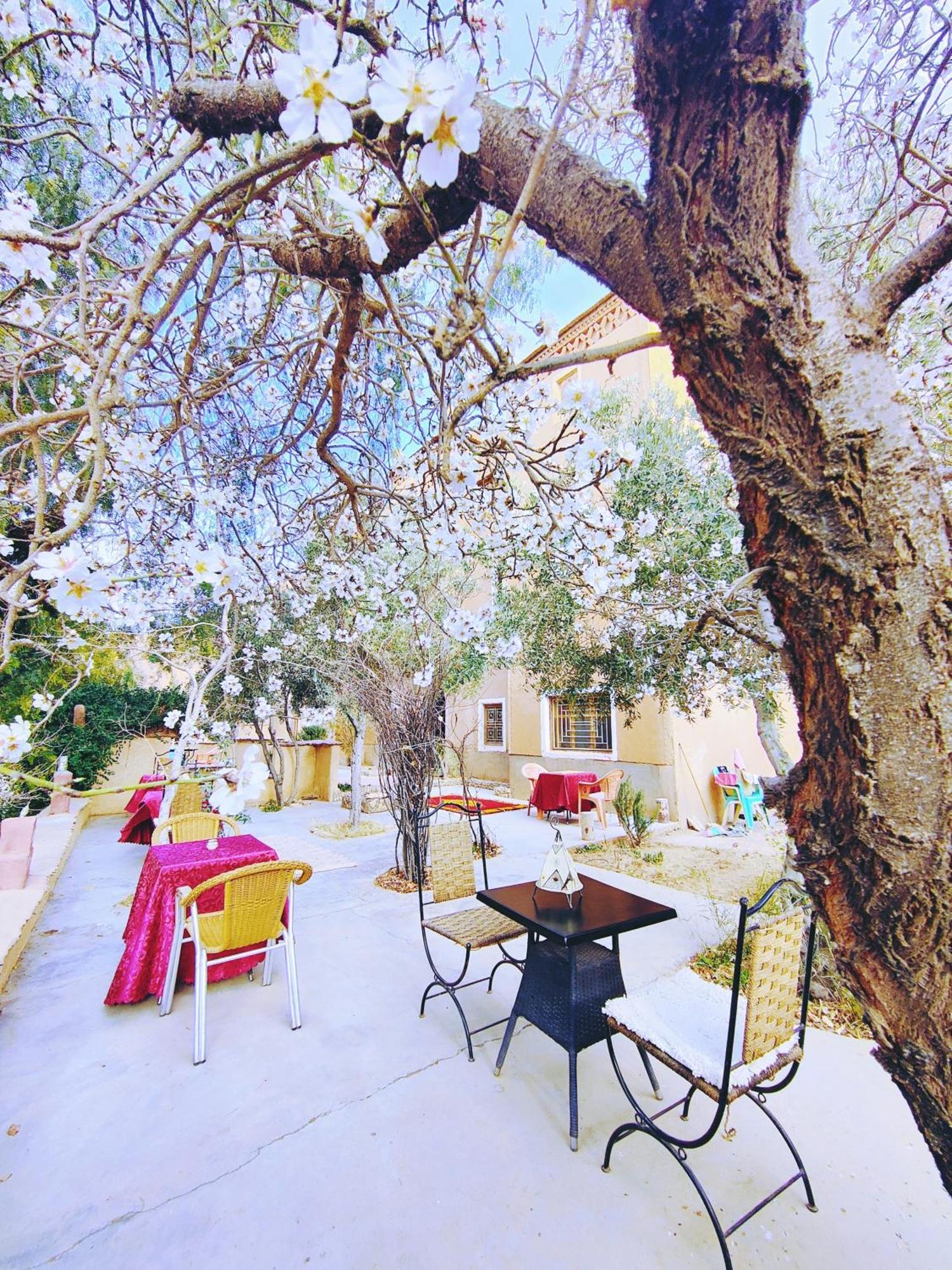 Riad Kasbah Des Roches Akhendachou n'Ait Ouffi Exteriör bild